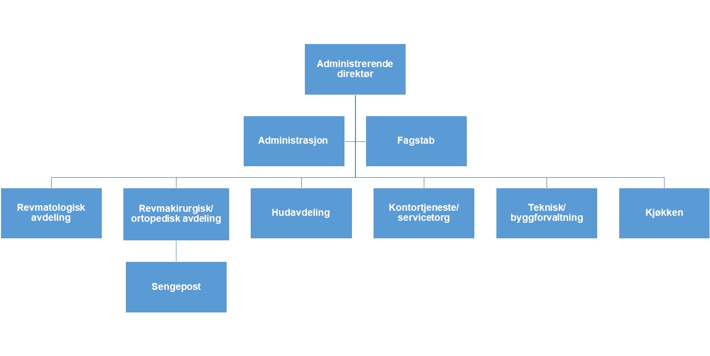 Organisasjonskart 2020